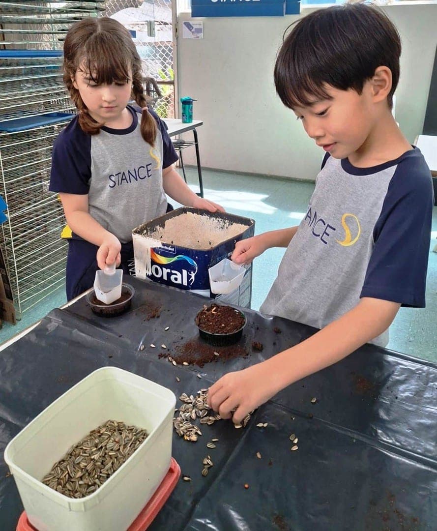 Dois alunos do 3º ano plantam sementes de girassol em vasinhos com terra