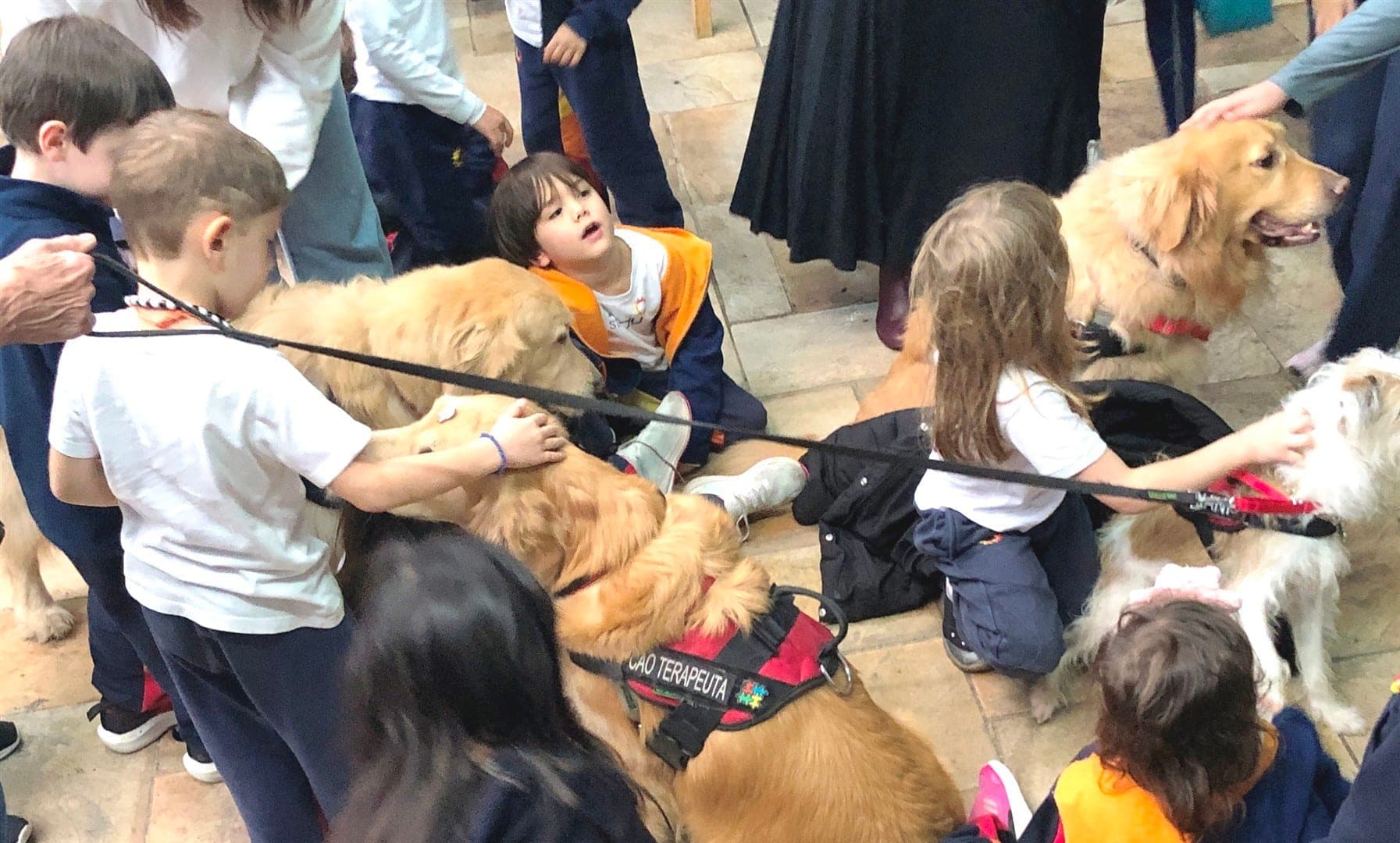 Crianças fazem carinho nos cães dos Patas Therapeutas, um deles com colete de cão terapeuta