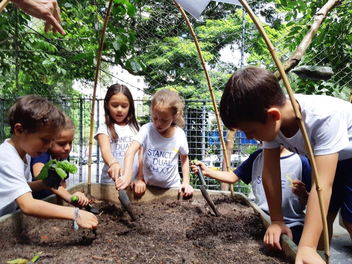 Praticas Ambientais Jardinagem