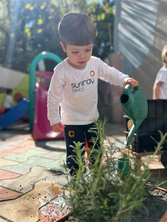 Menino pequeno regando uma planta com regador no pátio da escola