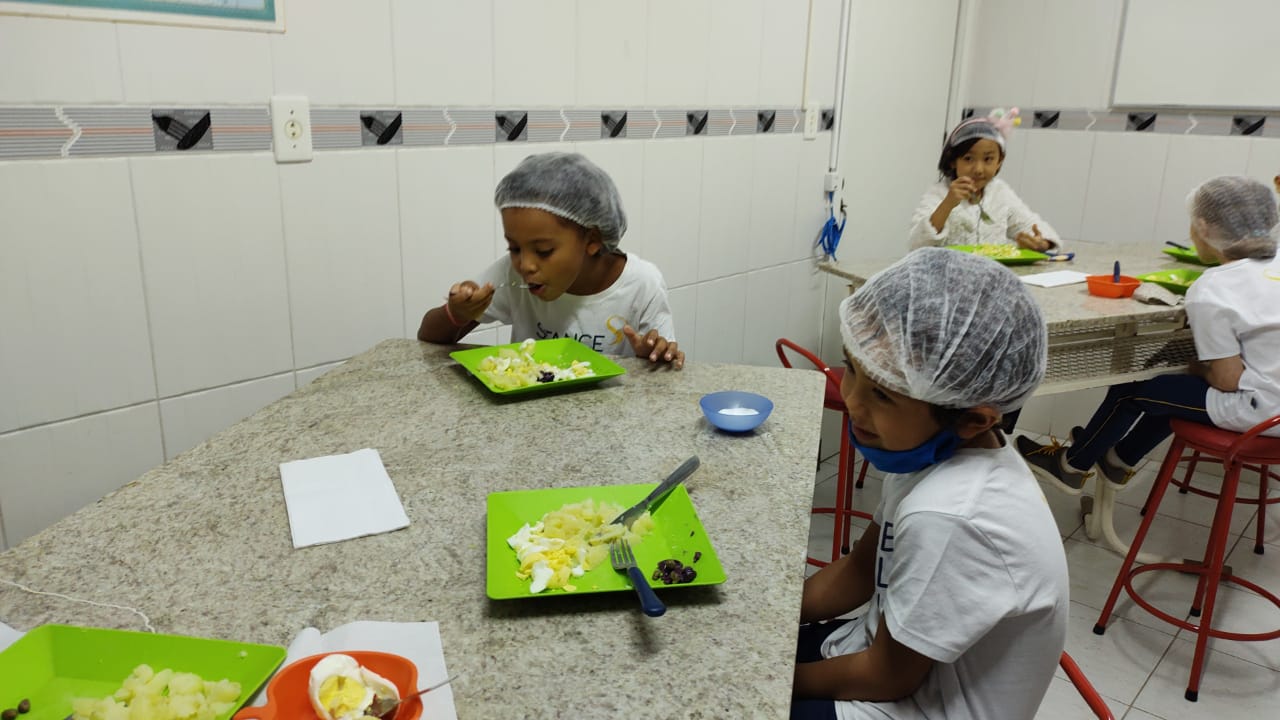 Egg and Potato Salad -Y1