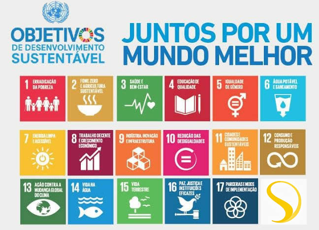 Educação ambiental se faz nas atitudes do dia a dia