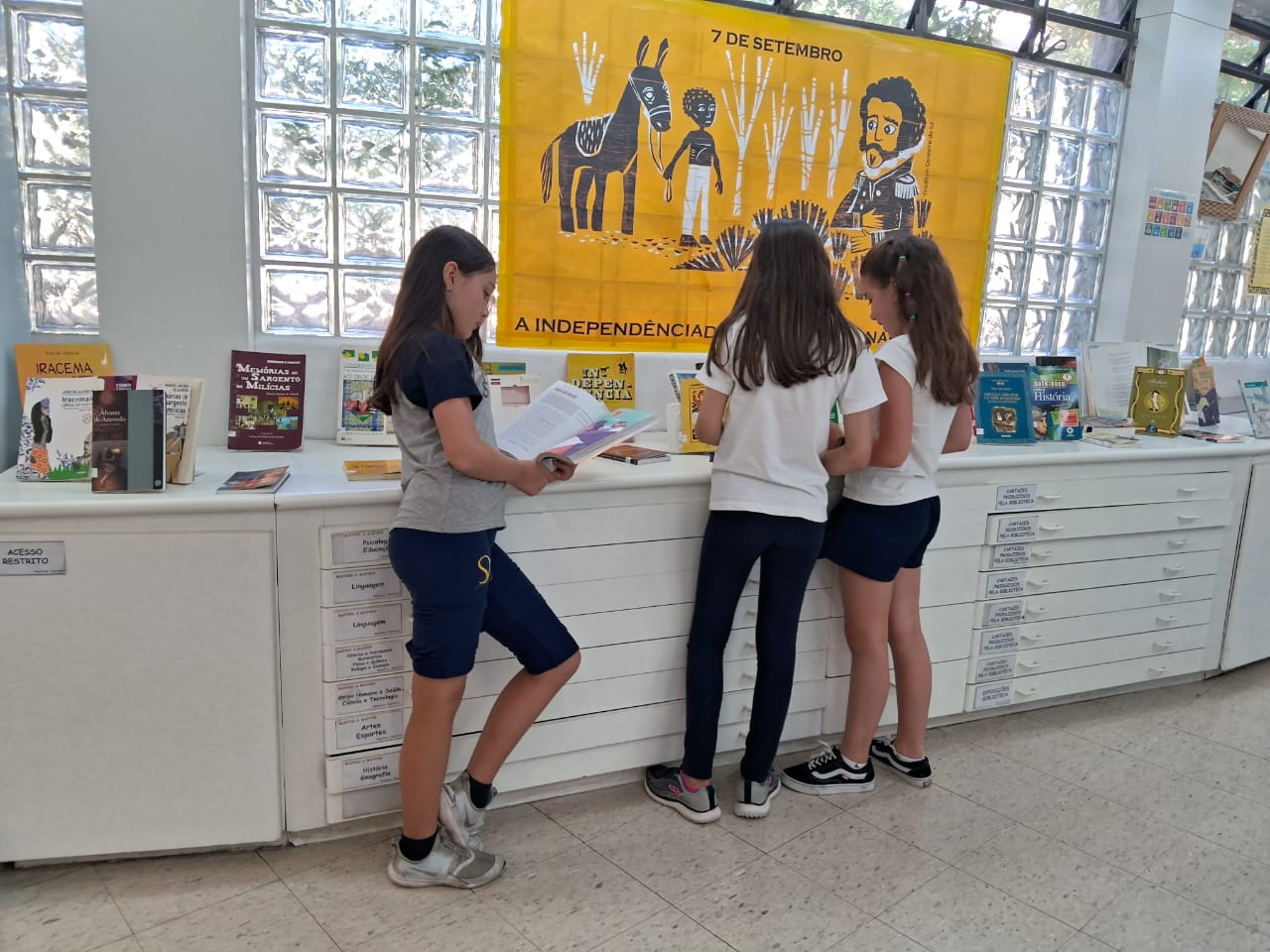 A Independência do Brasil e suas narrativas
